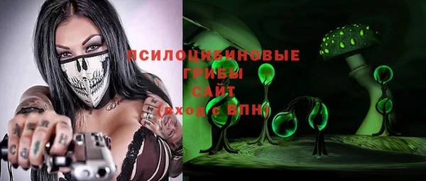 тгк Дмитров