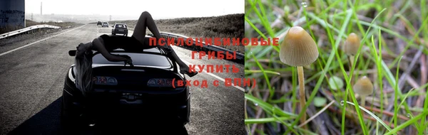 гидропоника Ельня