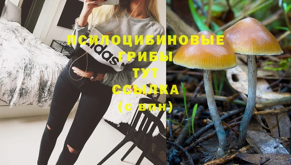 тгк Дмитров