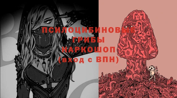 герыч Дмитриев
