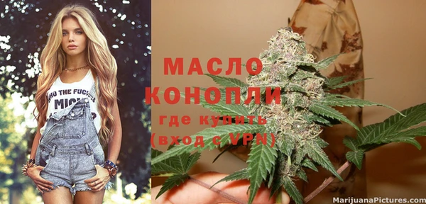 тгк Дмитров